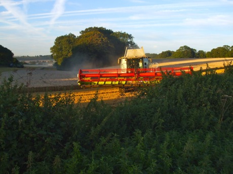 albion_combining_south_downs_sept_12.jpg