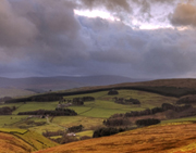 albion_country_caedmon_180w.jpg