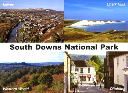 albion_south_downs_park_pc.jpg