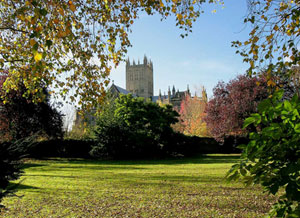 albion_wells_cathedral_300w.jpg