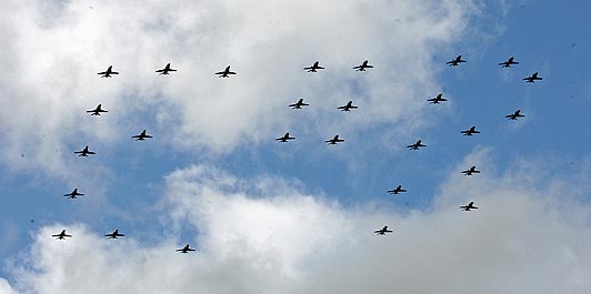 blog_raf_er_formation.jpg