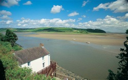 cr_dylan's_taf_estuary_250.jpg