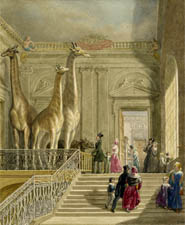 ii_british_museum_giraffes.jpg