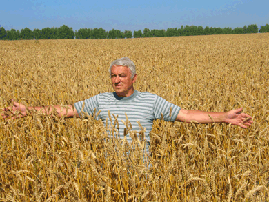 ii_wheatfield_man.gif