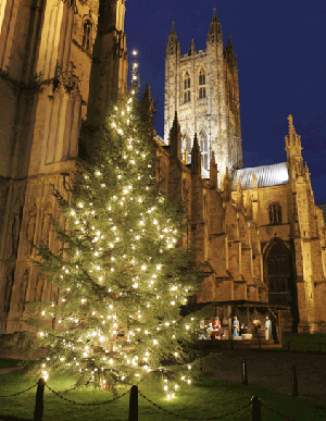 Canterbury Cathedral and lit Christmas tree at night with nativity creche