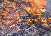 Bonfire