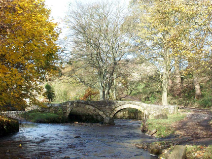 stream, stone bridge, autumn woods