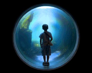 Child peering into mysterious future