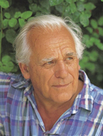 David Austin closeup 