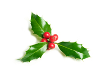 life_christmas_holly.jpg