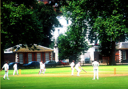 ss_cricket_chelsea.jpg